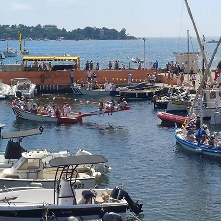 Family In Wooded Estate Near The Sea Saint-Raphaël