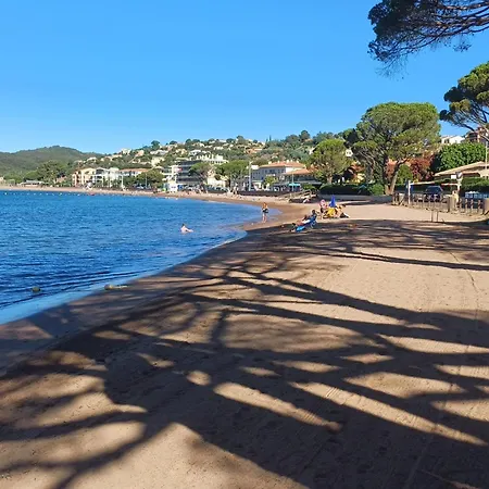 Family In Wooded Estate Near The Sea Дом отдыха