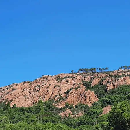 Дом отдыха Family In Wooded Estate Near The Sea Сен-Рафаэль