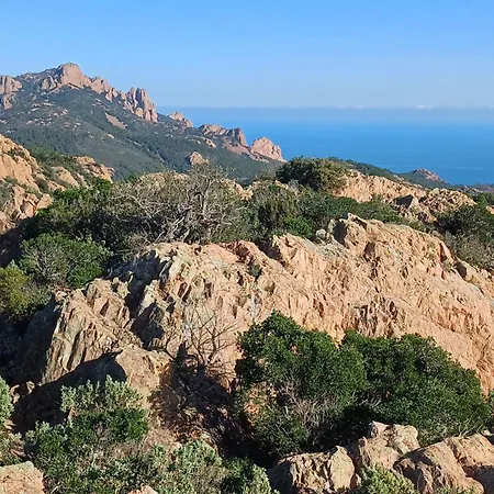 Family In Wooded Estate Near The Sea * Saint-Raphaël