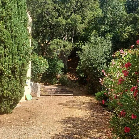 Family In Wooded Estate Near The Sea Saint-Raphaël