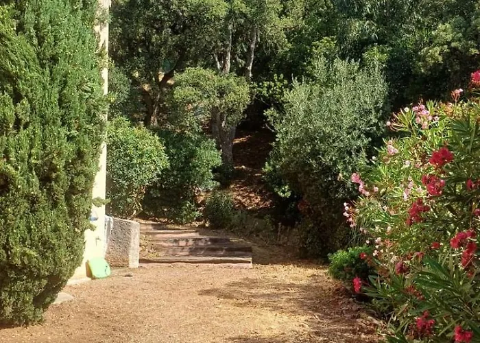 Family In Wooded Estate Near The Sea *