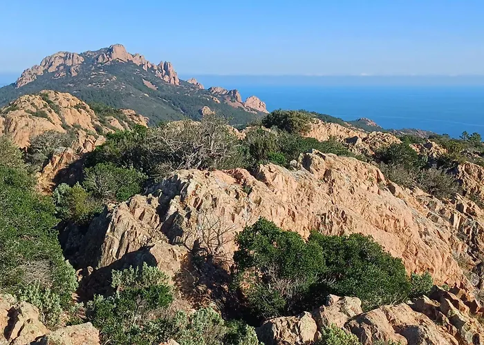 Family In Wooded Estate Near The Sea * Saint-Raphaël